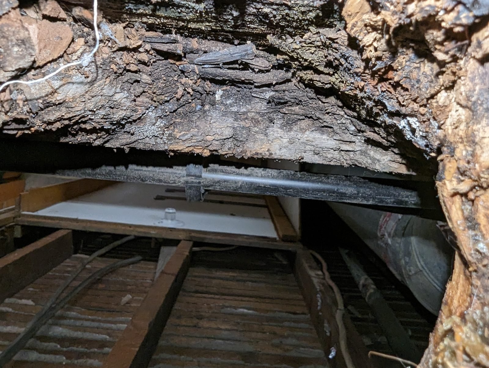 Deteriorated timber and piping inside an exposed building cavity